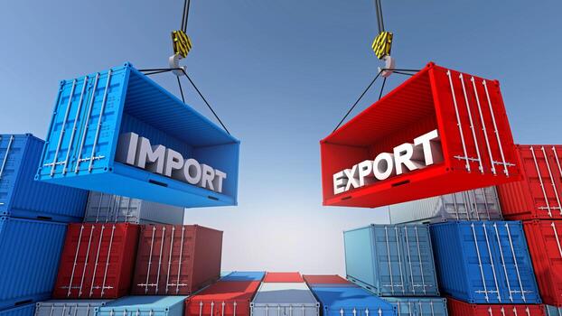 Import & Export Support